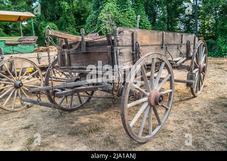 Ein alter rustikaler, von Pferden gezogener, hölzerner Pionierwagen, komplett und intakt im Freien mit einem Wald im Hintergrund an einem sonnigen Tag Stockfoto