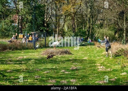 Zoo Dortmund, Nordrhein-Westfalen, Deutschland Stockfoto