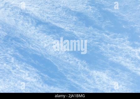 Cirrus Clouds. Weiße Cirrus Wolken gegen den blauen Himmel. Interessanter Hintergrund von verschwommenen Wolken. Stockfoto