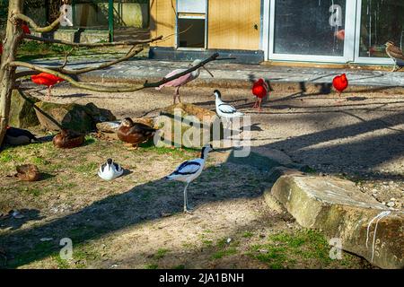 Zoo Dortmund, Nordrhein-Westfalen, Deutschland Stockfoto