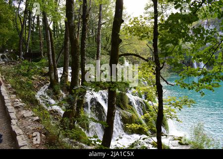 Nationalpark Plitvicer Seen in Kroatien Stockfoto