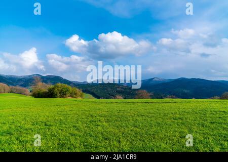 Deutschland, Schwarzwald Naturlandschaft Panoramablick mit schneebedeckten Bergen bei Sonnenuntergang Stockfoto