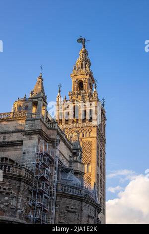 Die Giralda Glockenturm der Kathedrale von Sevilla mit der Giraldillo Wetterfahne auf dem Belfried die Kathedrale der Heiligen Maria vom See Sevilla Spanien Stockfoto
