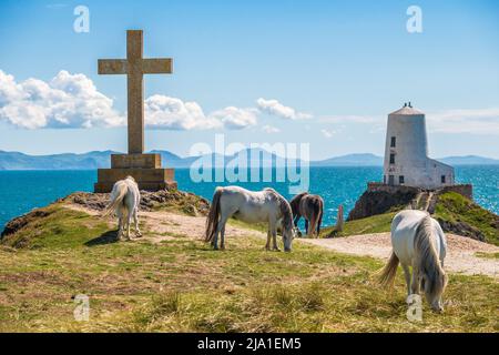 Llanddwyn Island in der Nähe von Newborough auf Anglesey, Wales Stockfoto
