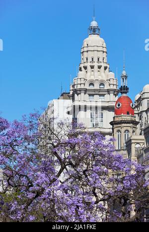 Die Türme des Palacio Barolo und des Gebäudes La Inmobiliaria im Frühling mit Jacaranda-Bäumen. Monserrat, Buenos Aires, Argentinien. Stockfoto