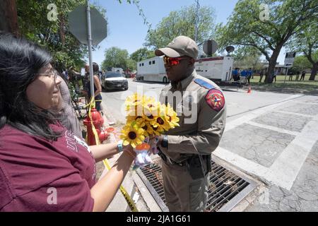 Uvalde, Texas, USA. 25.. Mai 2022. ROSA GONZALEZ von Uvalde liefert Blumen an einen Texas Deptartment of Public Safety Officer außerhalb der Robb-Grundschule im Süden von Uvalde, wo ein eingefleischter Schütze 19 Schüler und 2 Lehrer tötete. (Bild: © Bob Daemmrich/ZUMA Press Wire) Stockfoto