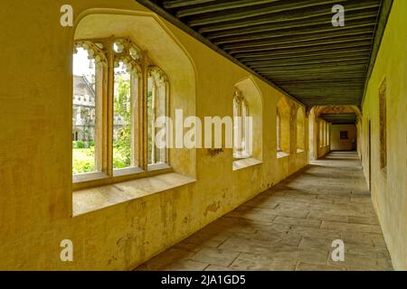 OXFORD CITY ENGLAND MAGDALEN COLLEGE INNENRAUM DES KLOSTERS Stockfoto