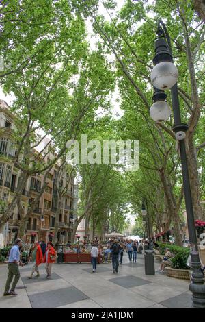 Palma de Mallorca, Mallorca, Spanien - 05.03.2022: Touristen zu Fuß auf Paseo del Borne Avenue in Palma de Mallorca Stockfoto