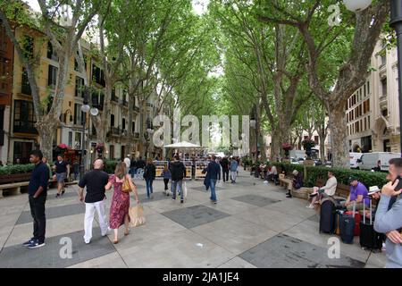 Palma de Mallorca, Mallorca, Spanien - 05.03.2022: Touristen zu Fuß auf Paseo del Borne Avenue in Palma de Mallorca Stockfoto