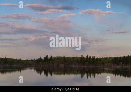 Sonnenuntergang über einem Boreal Forest Lake, Elk Island National Park, Alberta, Kanada Stockfoto