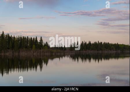 Sonnenuntergang über einem Boreal Forest Lake, Elk Island National Park, Alberta, Kanada Stockfoto