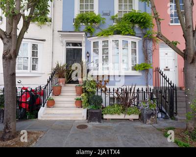 London, Greater London, England, Mai 14 2022: Hübsche Häuser an der Kings Road in Chelsea mit Pflanzentöpfen auf den Stufen und einem roten Moped. Stockfoto