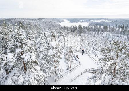 Winterlandschaft im Nuuksio Nationalpark in Finnland Stockfoto