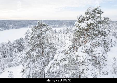 Winterlandschaft im Nuuksio Nationalpark in Finnland Stockfoto