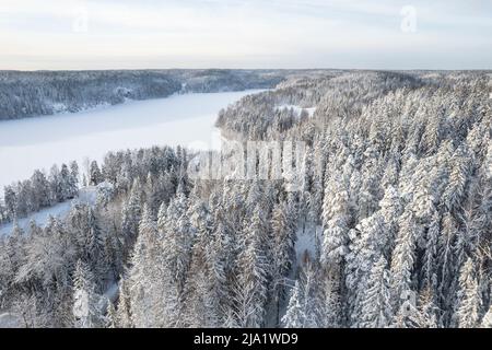 Winterlandschaft im Nuuksio Nationalpark in Finnland Stockfoto