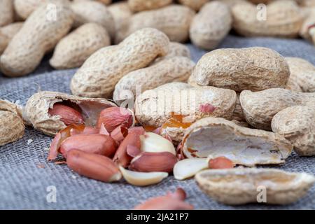 Reife Erdnüsse in der Schale, eine Gruppe gerösteter Erdnüsse in der Schale ohne Salz Stockfoto