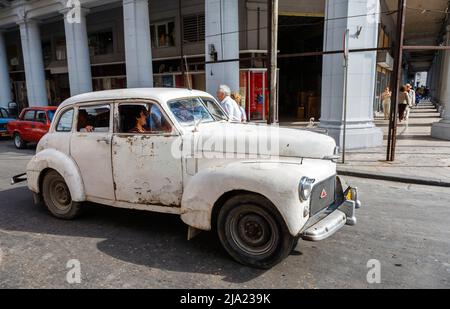 In den Straßen der Innenstadt von Havanna, der Hauptstadt Kubas - typische Straßenszene - wird ein beschädigtes, verrosttes weißes Oldtimer-Auto gefahren Stockfoto