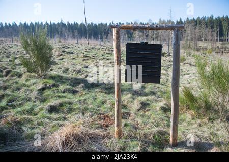 Wissenschaftliche Arbeiten im Nationalpark Eifel, Rindenkäferfalle, Nationalpark Eifel, Nordrhein-Westfalen, Deutschland Stockfoto