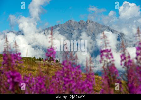 Blick vom Pass Croix de Coeur auf den Gipfel des Haut de Cry in den Berner Alpen, den Pass Croix de Coeur, den Col de la Croix de Coeur, Verbier, Wallis Stockfoto