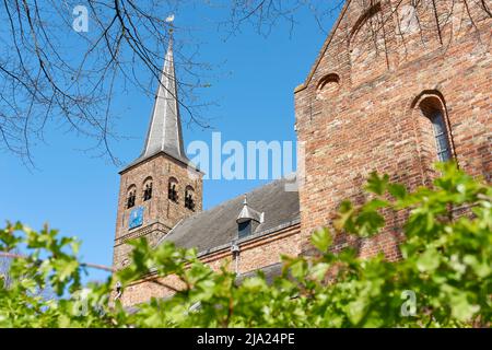 Blick auf die römisch-gotische evangelische Kirche von Burgum, Niederlande aus dem 13.. Jahrhundert. Auch bekannt als Kreuzkirche, St. Martins Kirche oder Kruu Stockfoto