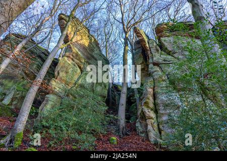 Bizarre Felslandschaft, Mullerthal oder Mullerthal, Little Luxembourg Schweiz, Deutsch-Luxemburg Naturpark, Großherzogtum Luxemburg Stockfoto