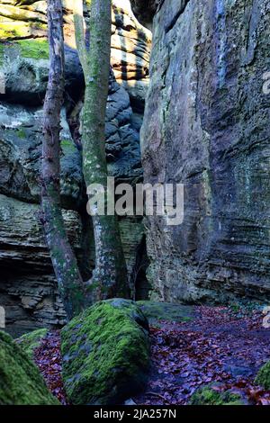 Bizarre Felslandschaft, Mullerthal oder Mullerthal, Little Luxembourg Schweiz, Deutsch-Luxemburg Naturpark, Großherzogtum Luxemburg Stockfoto