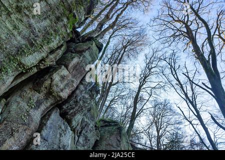 Bizarre Felslandschaft, Mullerthal oder Mullerthal, Little Luxembourg Schweiz, Deutsch-Luxemburg Naturpark, Großherzogtum Luxemburg Stockfoto