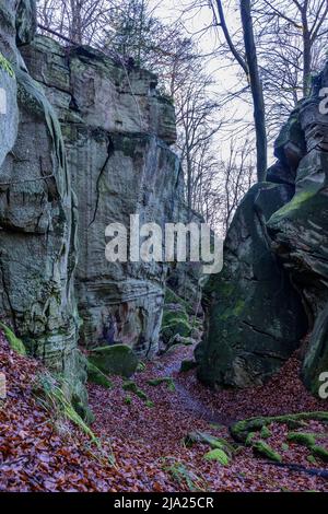 Bizarre Felslandschaft, Mullerthal oder Mullerthal, Little Luxembourg Schweiz, Deutsch-Luxemburg Naturpark, Großherzogtum Luxemburg Stockfoto