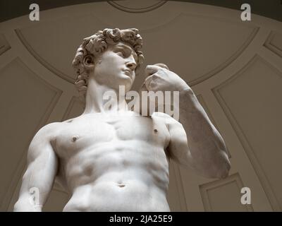 David Statue von Michelangelo, Detail, Galleria dellAccademia, Florenz, Toskana, Italien Stockfoto