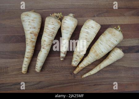 Schwäbische Küche, Zubereitung Petersilienwurzel (Petroselinum crispum subsp. Tuberosum) auf Holzbrett, Wintergemüse, traditionelle Küche Stockfoto