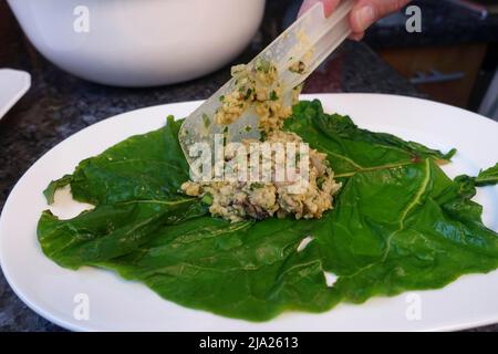 Schwäbische Küche, Bietigheimer Laubfrösche in Paprikasoße zubereiten, Mangold-Blätter füllen, vegane Füllung, Teigschaber, Teller, Traditionelle Küche Stockfoto