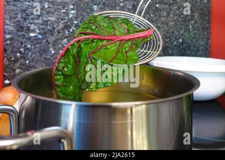 Schwäbische Küche, Zubereitung Bietigheimer Laubfrösche, Brotschenblattblanchieren, Verbrühen, Kochtopf, Schlitzlöffel, Mangold, traditionelle Küche Stockfoto