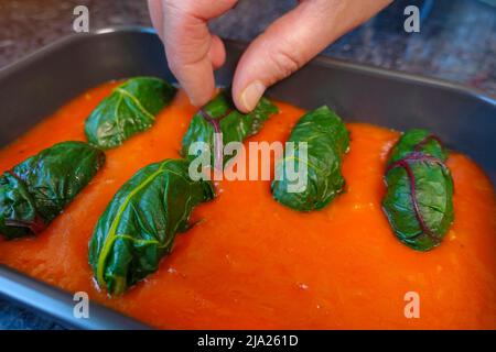 Schwäbische Küche, Herstellung Bietigheimer Blatt Frösche in Paprikasoße, Sauce, legte gefüllte Mangold Blätter in Paprikasoße, Auflaufform, traditionell Stockfoto