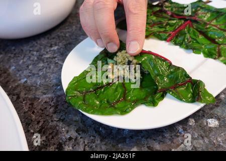 Schwäbische Küche, Bietigheimer Laubfrösche in Paprikasoße zubereiten, gefüllte Mangold-Blätter aufrollen, vegane Füllung, Teller, traditionelle Küche Stockfoto