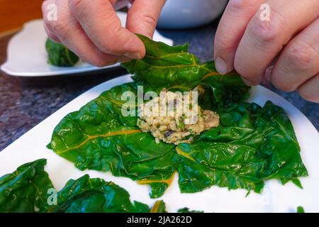 Schwäbische Küche, Bietigheimer Laubfrösche in Paprikasoße zubereiten, gefüllte Mangold-Blätter aufrollen, vegane Füllung, Teller, traditionelle Küche Stockfoto