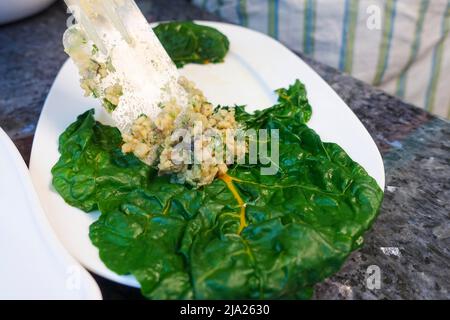 Schwäbische Küche, Bietigheimer Laubfrösche in Paprikasoße zubereiten, Mangold-Blätter füllen, vegane Füllung, Teigschaber, Teller, Traditionelle Küche Stockfoto