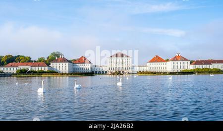 Schwäne schwimmen vor Schloss Nymphenburg, Ostseite, München, Bayern, Deutschland Stockfoto