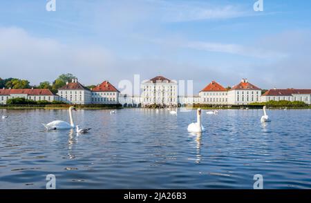 Schwäne schwimmen vor Schloss Nymphenburg, Ostseite, München, Bayern, Deutschland Stockfoto