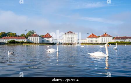 Schwäne schwimmen vor Schloss Nymphenburg, Ostseite, München, Bayern, Deutschland Stockfoto