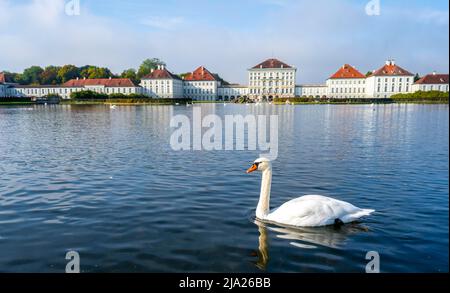 Schwäne schwimmen vor Schloss Nymphenburg, Ostseite, München, Bayern, Deutschland Stockfoto