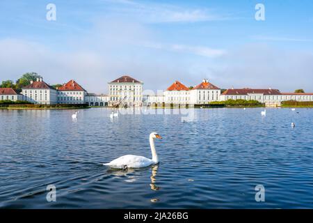 Schwäne schwimmen vor Schloss Nymphenburg, Ostseite, München, Bayern, Deutschland Stockfoto