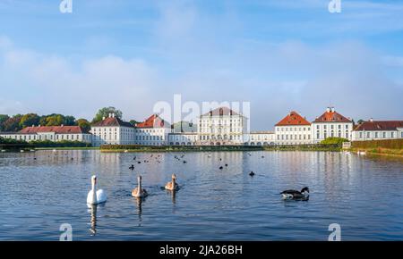 Schwäne schwimmen vor Schloss Nymphenburg, Ostseite, München, Bayern, Deutschland Stockfoto