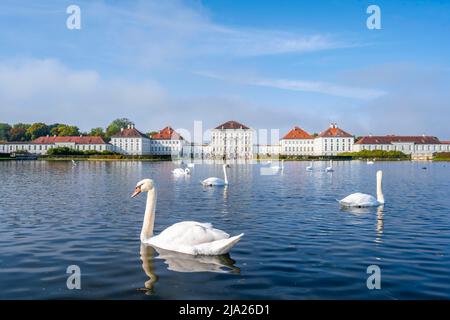 Schwäne schwimmen vor Schloss Nymphenburg, Ostseite, München, Bayern, Deutschland Stockfoto