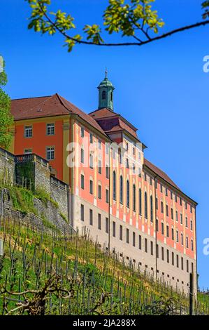 Neues Schloss mit Weiberg, Meersburg, Bodensee, Baden-Württemberg, Deutschland Stockfoto