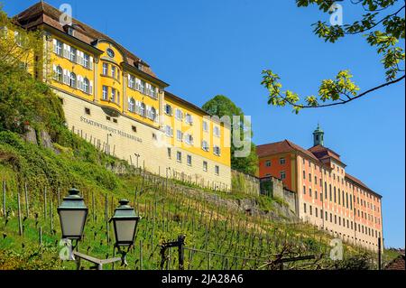 Staatsweingarten mit Weiberg und Neuenburg, Meersburg, Bodensee, Baden-Württemberg, Deutschland Stockfoto