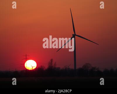 Windturbine und Hochspannungsleitung vor der untergehenden Sonne im Hamburger vier- und Marschlanden. Ochsenwerder, Hamburg, Deutschland Stockfoto