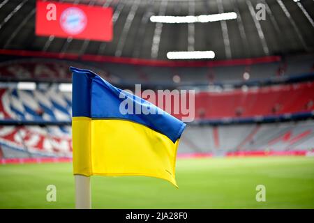 Eckfahne in ukrainischer Nationalfarbe als Zeichen gegen den Krieg Russland gegen die Ukraine, Allianz Arena, München, Bayern, Deutschland Stockfoto