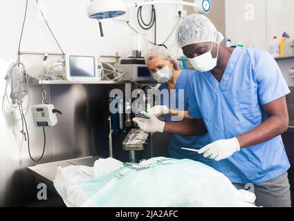 Tierärzte, die Operation für Hund in einer Tierklinik Stockfoto