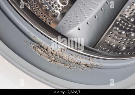 Schmutzige schimmelige Waschmaschine, die Gummi und Trommel aus der Nähe versiegelt. Schimmel, Schmutz und Kalk in der Waschmaschine. Haushaltsgeräte regelmäßige Wartung. Stockfoto