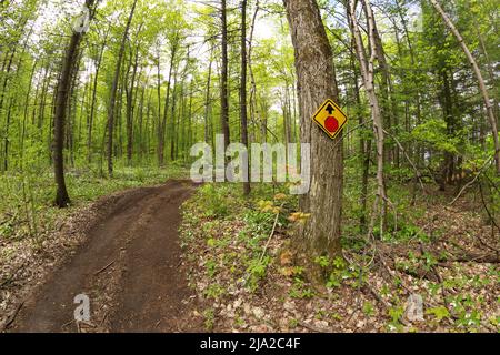 Ein Stoppschild Posted on Baum auf ATV und Dirtbike Mehrzweck- oder Mehrzweckpfad in Simcoe County Stockfoto